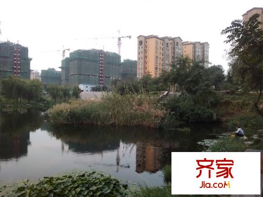 陽光香蜜湖