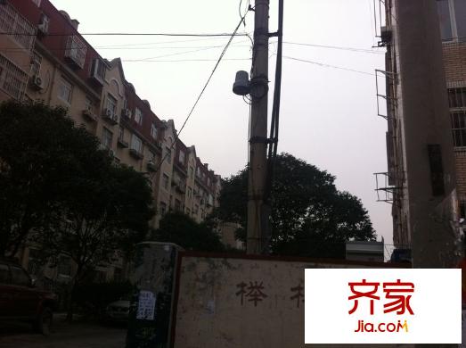 櫸林新村外景圖 