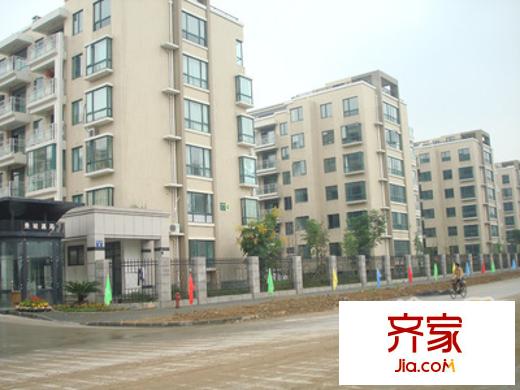 金秋小區(qū)外景圖 