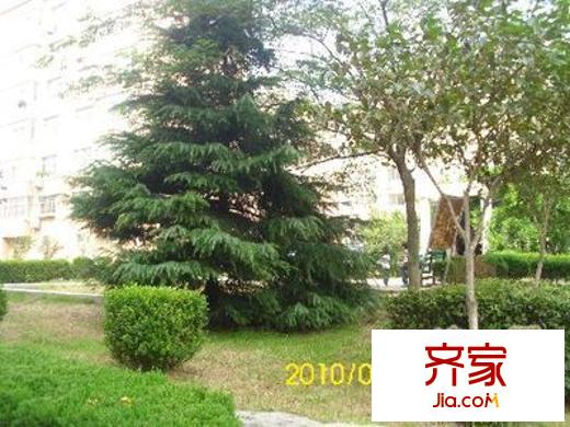 鳳凰園外景圖小區(qū) 