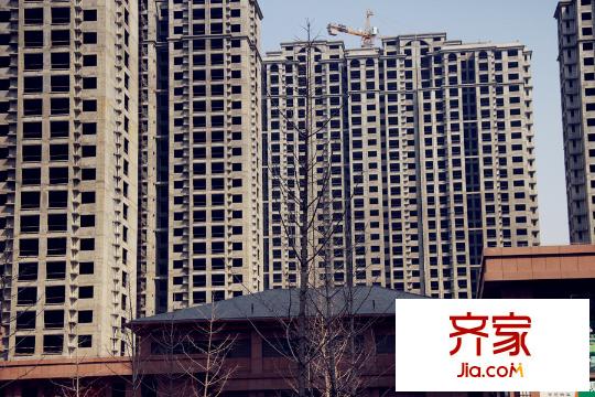 觀瀾國(guó)際