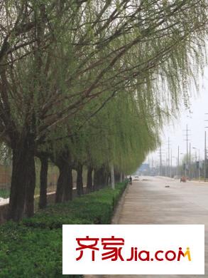 中鐵華胥美邦iHome配套圖周邊配套之友誼路