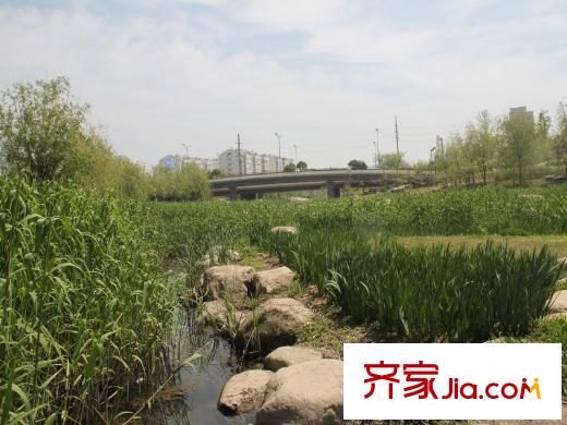 山河城?伴山銀河配套圖周邊配套之李村河