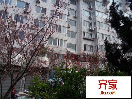 龍?zhí)堵沸^(qū)外景圖