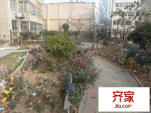 芝泉山莊外景圖 
