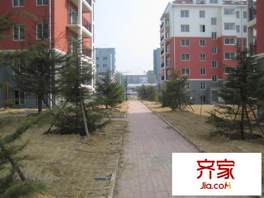 帝都嘉園外景圖