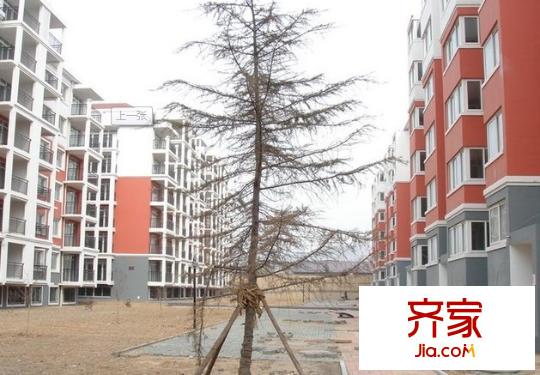 帝都嘉園外景圖 