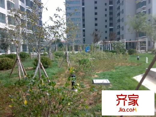 嘉合新興外景圖 