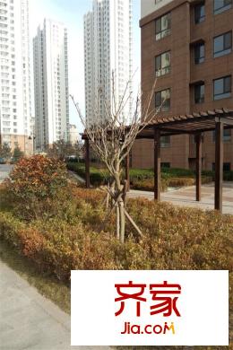 西海景苑（20150311）