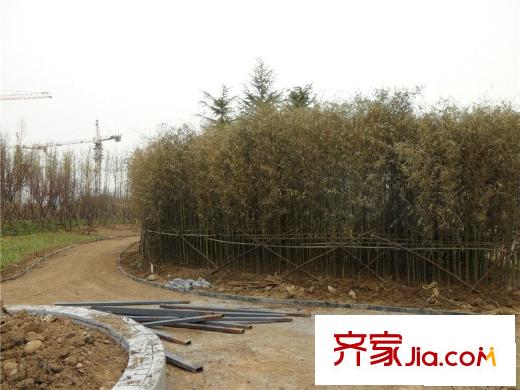 茵悅小城周邊