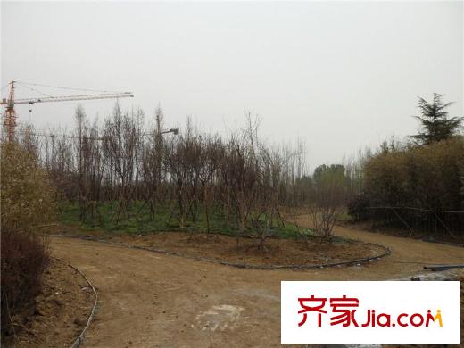 茵悅小城周邊
