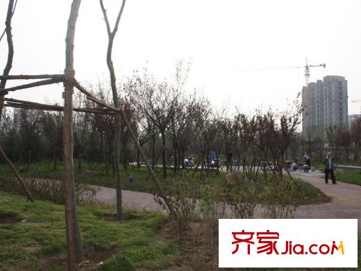 茵悅小城周邊配套之市政公園進(jìn)展實(shí)景（20110518）