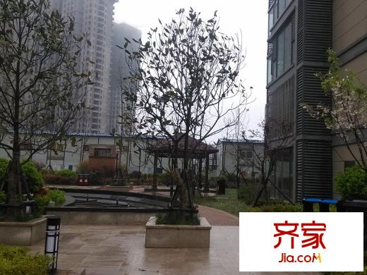 海棠里外景圖