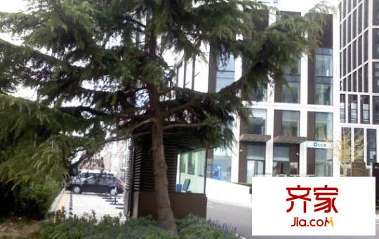 柏林賽樂外景圖