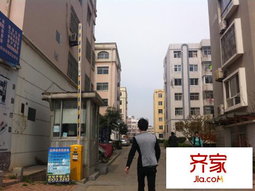 北江路小區(qū)外景圖