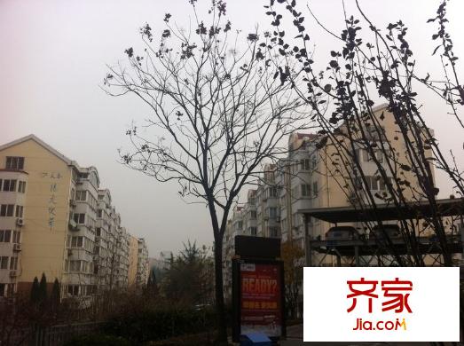 天泰陽光地帶外景圖 