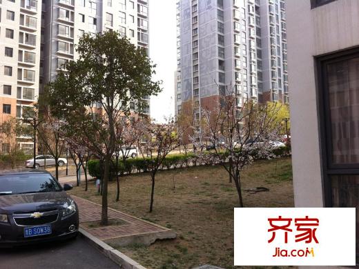 津盤鳳凰都外景圖