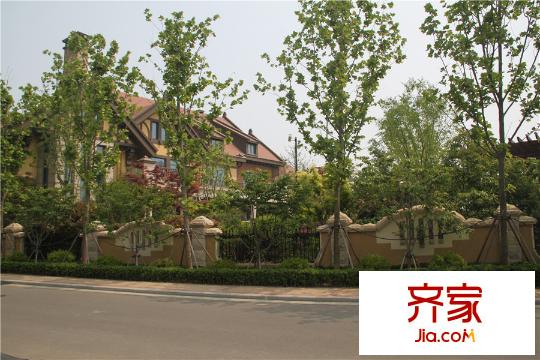 青島印象金沙灘