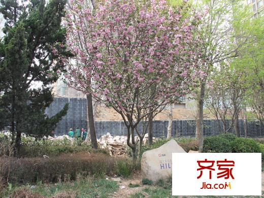 萬(wàn)科藍(lán)山外景圖（20140513）