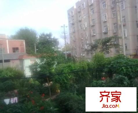 雙桃花園外景圖4