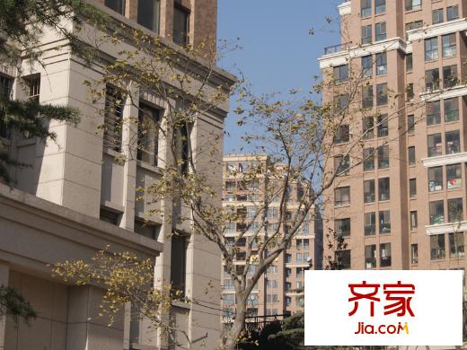 藍山灣外景圖