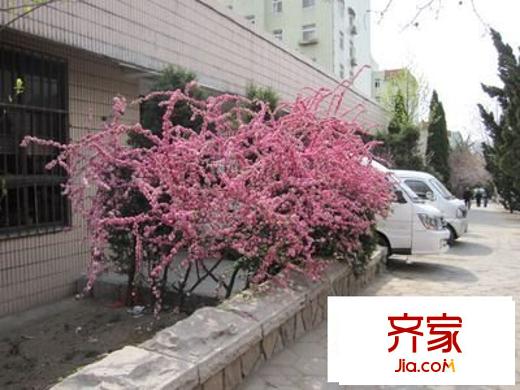 錯埠嶺四小區(qū)外景圖 