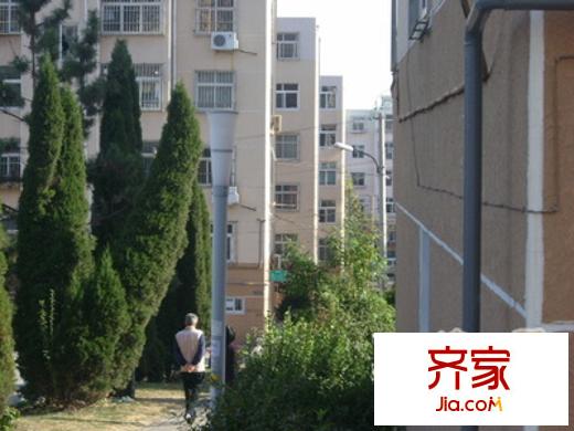 順河路小區(qū)外景圖 