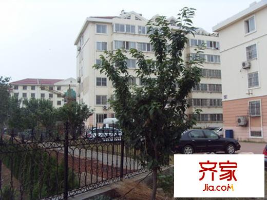 順河路小區(qū)外景圖 