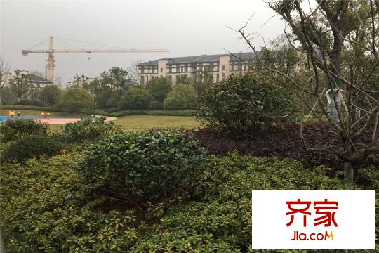 創(chuàng)源無想墅景觀(2015-3-18)
