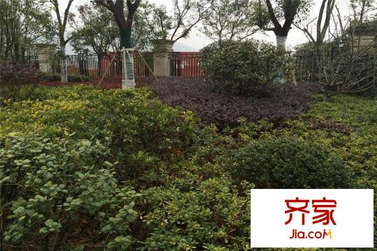 創(chuàng)源無想墅景觀(2015-3-18)