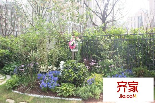 景楓法蘭谷現(xiàn)房實(shí)景（2015-7-1）