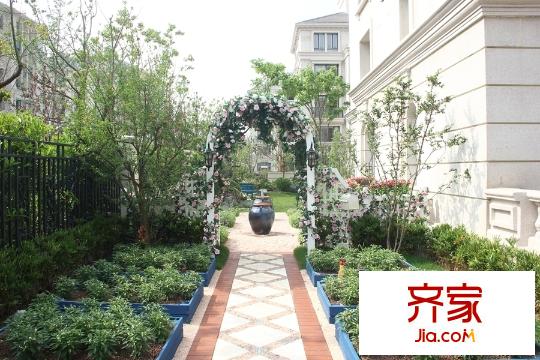 景楓法蘭谷外景圖