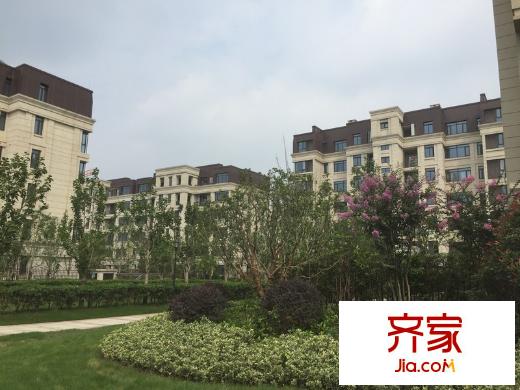 富力十號外景圖