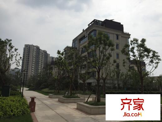 富力十號(hào)外景圖