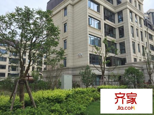 富力十號(hào)外景圖