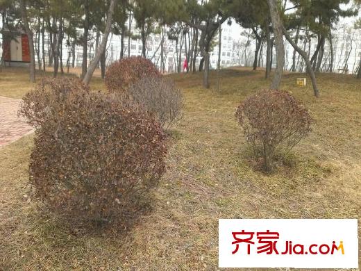 東方公園世家配套圖周邊之李村公園