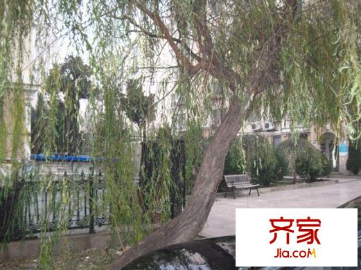 新亞花園外景圖 