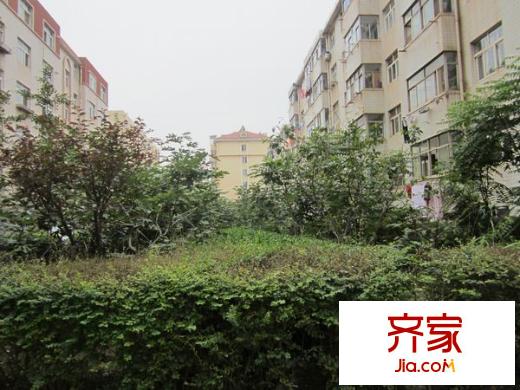 柳溝小區(qū)外景圖 