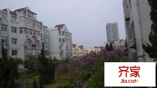 金湖社區(qū)外景圖 