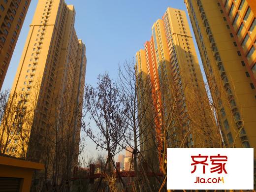 即墨寶龍城市廣場樓座