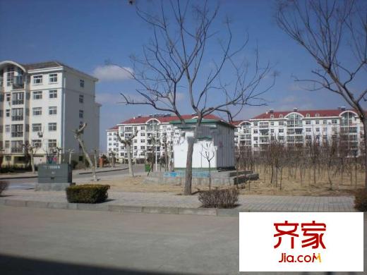 濱海新村外景圖4