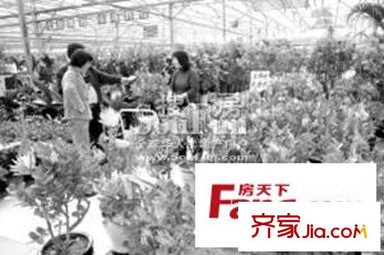 建業(yè)楓林上院配套圖花卉市場