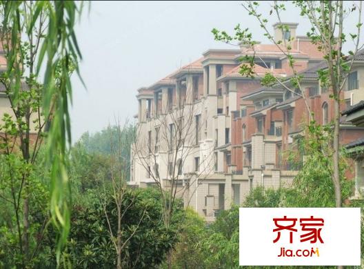 清水苑外景圖 