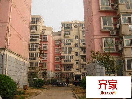 文雅新世界