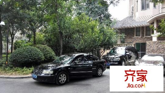 建業(yè)森林半島外景圖 