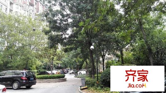 建業(yè)森林半島外景圖 