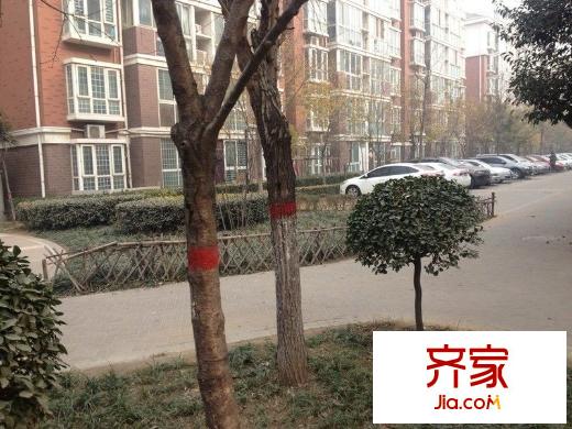 綠都城外景圖 