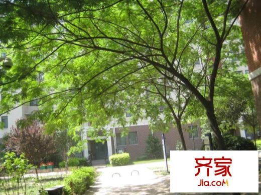 思達大河春天外景圖大河春天 