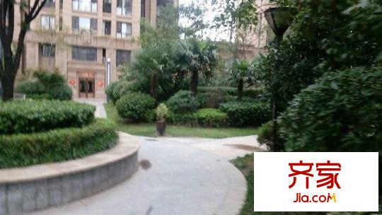 大觀國際居住區(qū)外景圖 