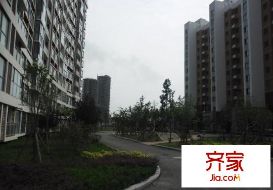魯澤觀天下外景圖